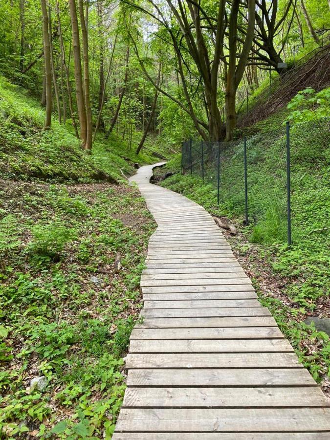 Zielone Rozewie Park Luaran gambar